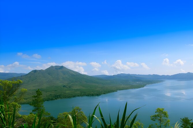 Ubud Village, Waterfall and Kintamani Volcano Tour - The Sacred Monkey Forest needs calm attention