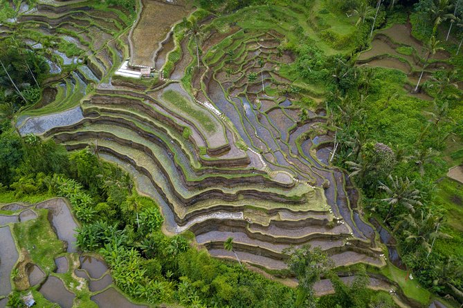 Ubud Volcano Lake and Natural Hot Spring Tour - Tirta Empul Temple: take part or watch quietly