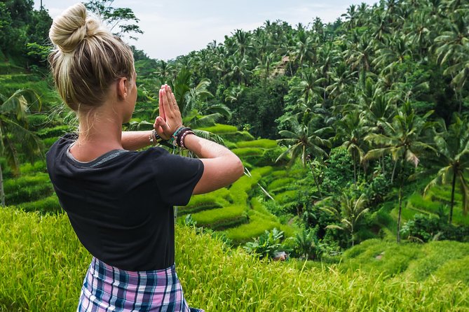 Ubud Volcano Lake and Natural Hot Spring Tour - Tegalalang Rice Terrace: a quick look at Bali’s farm country
