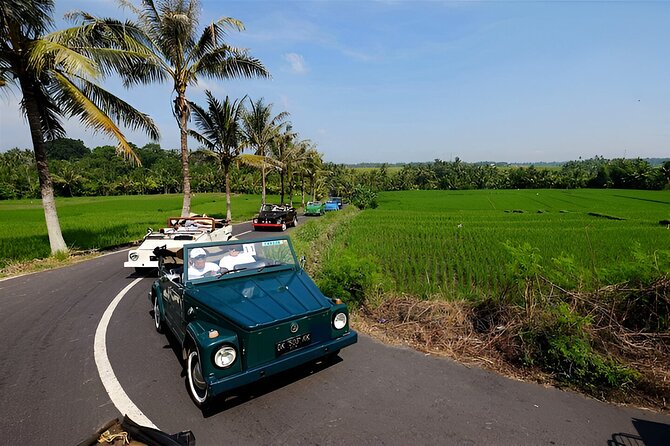 Ubud VW Safari Bali Tour - Volkswagen Classic Car Trip - Key points to know before you book