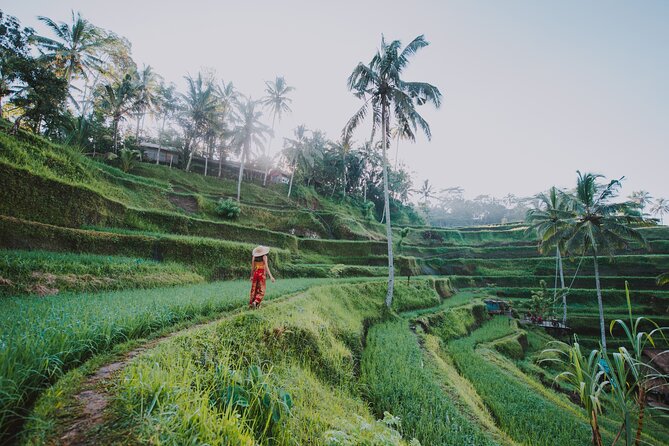 Ubud: Waterfall, Rice Terraces, and Monkey Forest Private Tour - The Sacred Monkey Forest is lively and unpredictable
