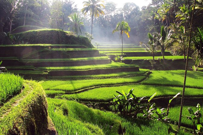 Ubud: Waterfall, Rice Terraces, and Monkey Forest Private Tour - The art market adds a local shopping pause