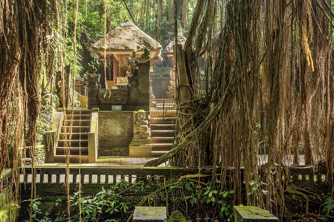 Ubud: Waterfall, Rice Terraces, and Monkey Forest Private Tour - Luwak coffee brings a controversial local specialty