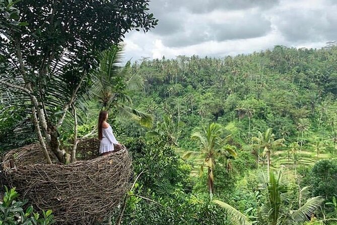 Ubud waterfall, rice terraces, and swing explore - The Ubud Jungle Swing: exciting, photogenic, and extra