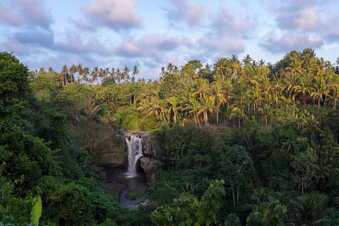Ubud waterfall, rice terraces, and swing explore - Traditional Balinese coffee adds a local pause