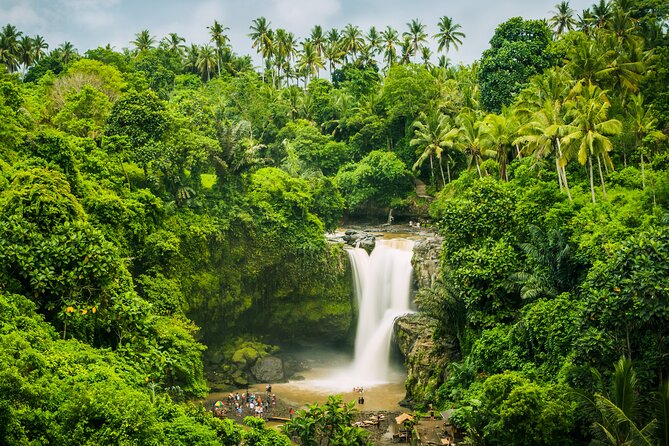 Ubud waterfall, rice terraces, and swing explore - The private format and guide service