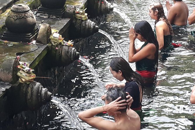 Ubud Waterfall Swing And Spring Temple Private Guided Tour - Ubud Monkey Forest brings wildlife into the city