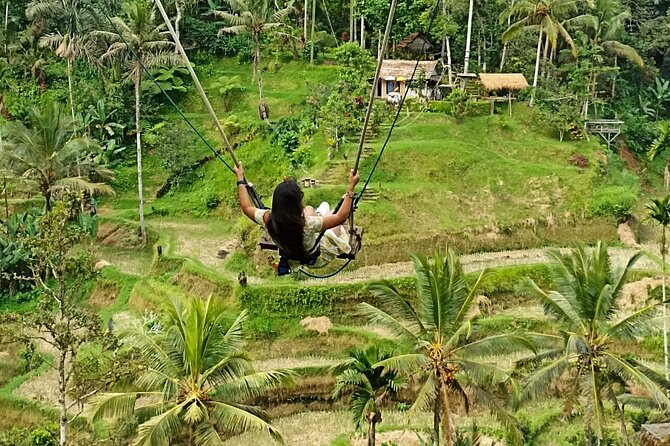 Ubud Waterfall Swing And Spring Temple Private Guided Tour - Tegalalang Rice Terrace is made for views and photos