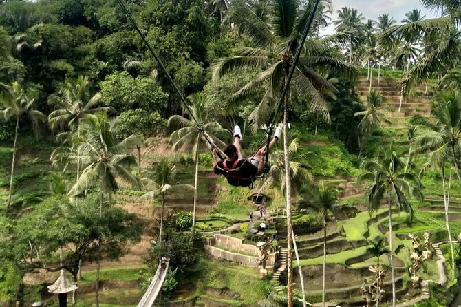 Ubud Waterfall Swing And Spring Temple Private Guided Tour - Tampaksiring slows the pace with local contact
