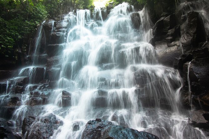 Ubud Waterfalls and Rice Terraces Private Day Tour - Tegalalang Rice Terrace: Bali’s classic green view