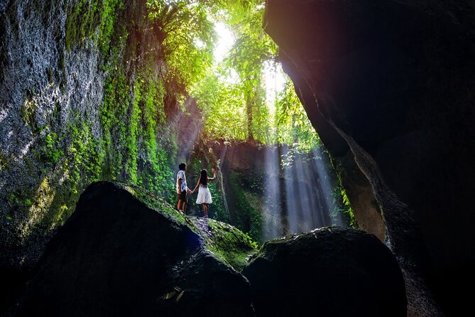Ubud Waterfalls and Rice Terraces Private Day Tour - Your guide can shape the day