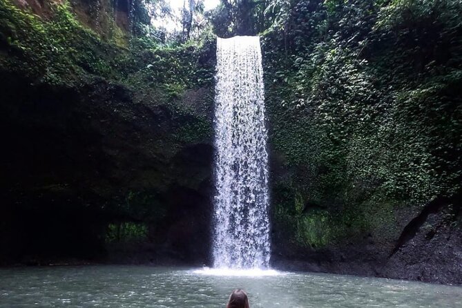 Ubud Waterfalls, Rice Terrace & Jungle Swing - Private Tour - Key points to know before booking