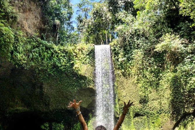 Ubud Waterfalls, Rice Terrace & Jungle Swing - Private Tour - Tegalalang Rice Terrace brings a different side of Bali