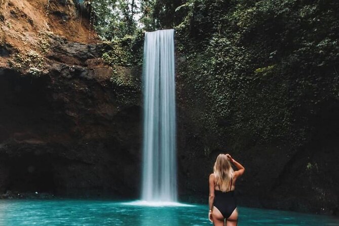 Ubud Waterfalls, Rice Terrace & Jungle Swing - Private Tour - What the transport adds to the price
