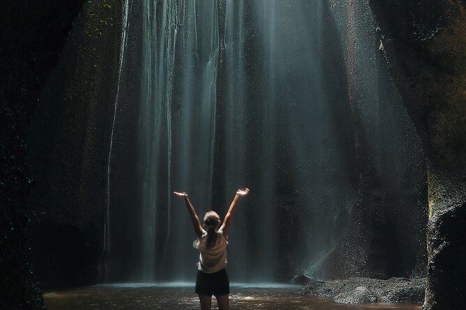 Ubud: Waterfalls, Water Temple & Rice Terraces Private Tour - Is $22.50 per person good value?