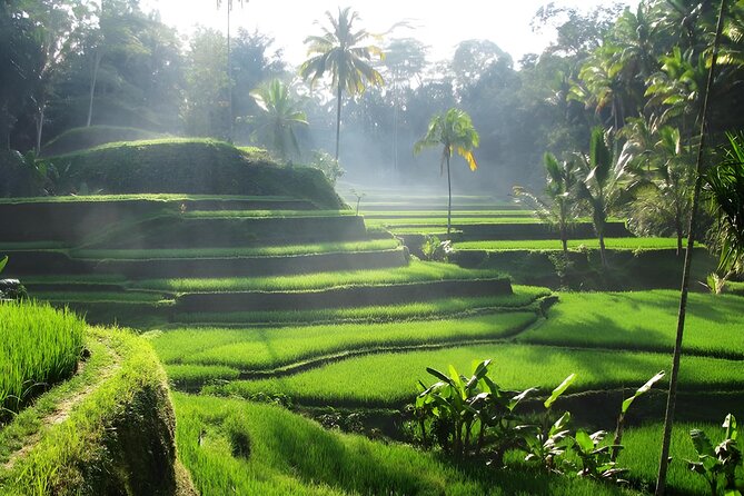 Ubud: Waterfalls, Water Temple & Rice Terraces Private Tour - Tegalalang Rice Terrace: two hours among working fields