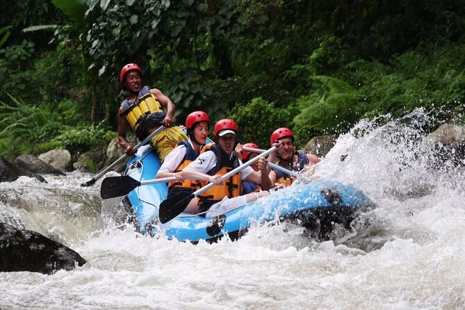 Ubud White Water Rafting with Waterfall and Lunch - Key points at a glance