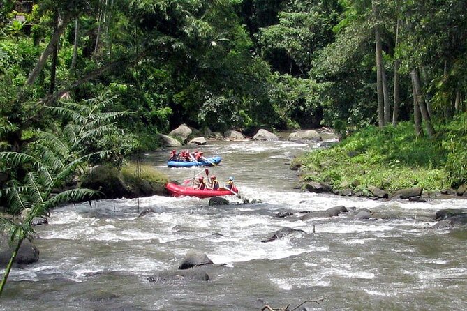 Ubud White Water Rafting with Waterfall and Lunch - Guides make the difference
