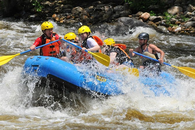Ubud White Water Rafting with Waterfall and Lunch - Who should book this rafting trip?