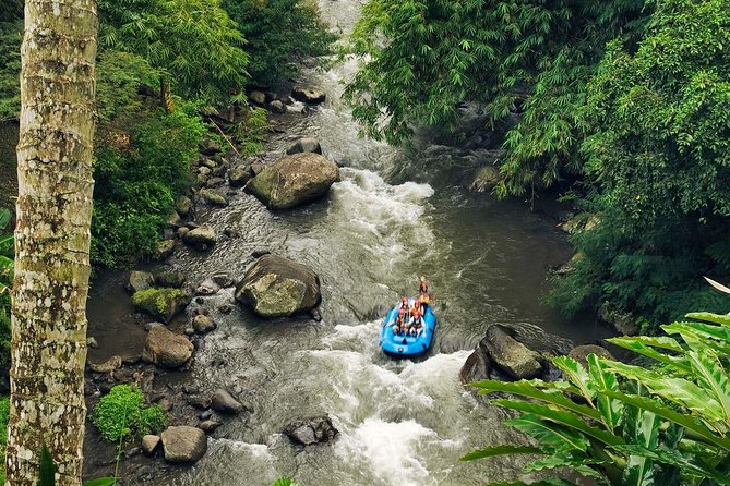 Ubud White Water Rafting with Waterfall and Lunch - The long walk down to the river