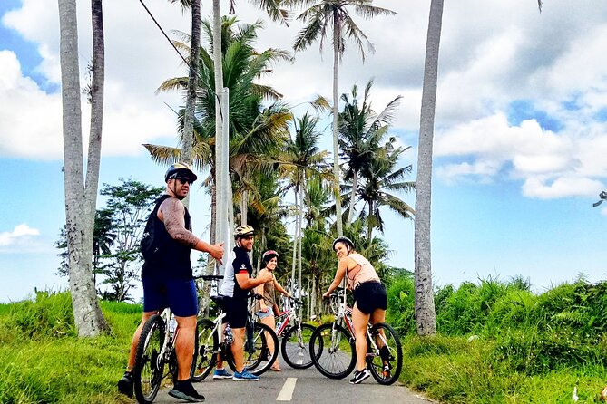 Ubud Wonderful Half Day Downhill Cycling Tour with Lunch - Two hours through Manukaya’s village roads