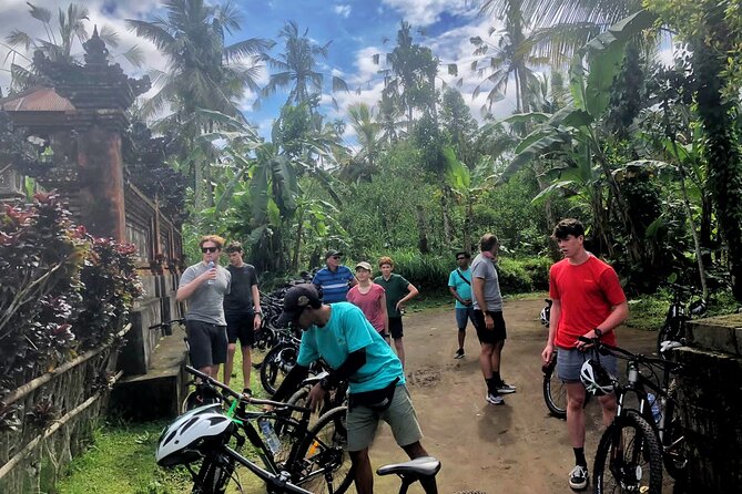 Ubud Wonderful Half Day Downhill Cycling Tour with Lunch - Who will enjoy this cycling tour most