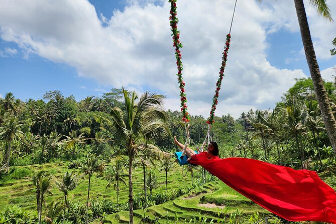 Ubud: Zipline, Bali Swing, and Sky Bike in a Private Rice Terrace - Seven photo spots, including Wings of Bali