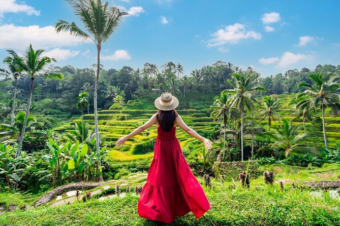 Ultimate Ubud Experience All Inclusive Private Day Tour - Key points at a glance