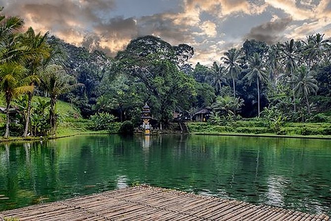 Unique Cleansing Ceremony with Locals - Why This Tour Feels Different From a Standard Ubud Day Out