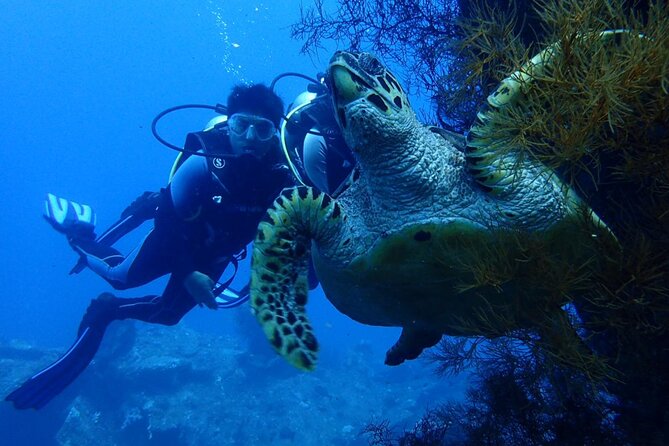 USS Liberty Shipwreck Scuba Diving at Tulamben Bali - Meeting the USS Liberty on Tulamben Beach