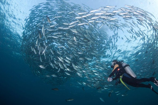 USS Liberty Shipwreck Scuba Diving at Tulamben Bali - What the $109.50 price really covers