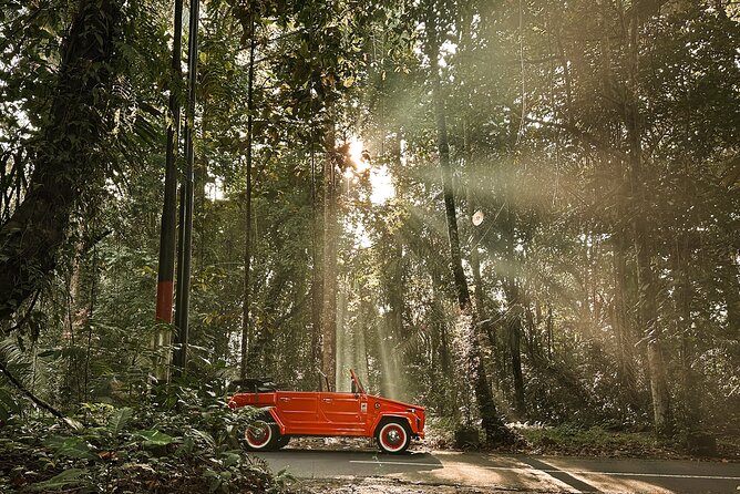 Vintage Volkswagen Bali Tour - Delodsema Traditional Village and Balinese home life