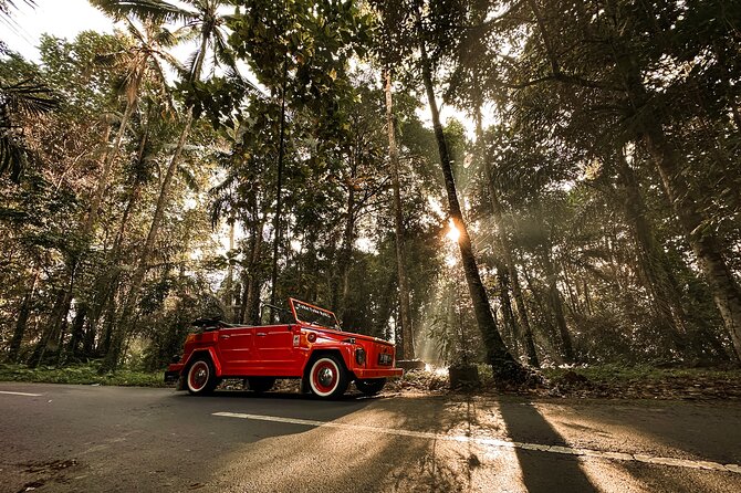 Vintage Volkswagen Bali Tour - Pura Agung Gunung Raung Taro and its striking gate
