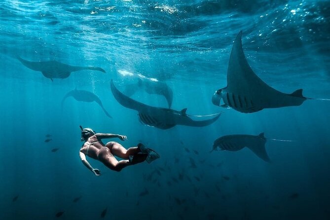 VIP Private Boat to Nusa Penida: Snorkeling with Mantas + Land Tour Adventure - Lunch and the practical side of Nusa Penida