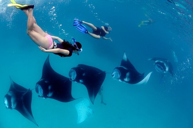 VIP Private Boat to Nusa Penida: Snorkeling with Mantas + Land Tour Adventure - Kelingking Cliff delivers the famous view