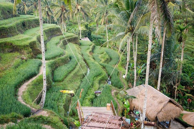 Water Rafting adventure with Jungle Swing & rice terraces - From Seminyak to the Ayung River