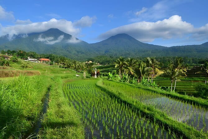 Waterfall Tour: North Bali Best Waterfalls - What $79.99 buys you