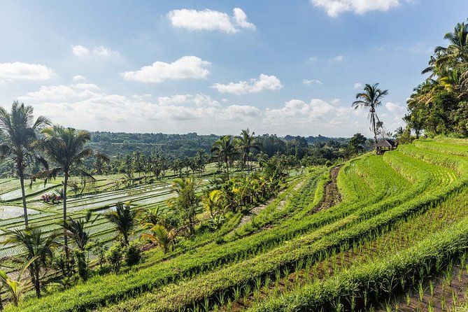 West Bali Tour: Taman Ayun, Ulun Danu Beratan, Jatiluwih Rice Terrace, Tanah Lot - Tanah Lot at sunset: a dramatic final stop