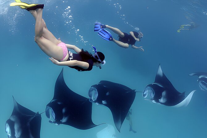 West Nusa Penida Island Snorkeling Tour - From Bali Island - What the private transport and boat setup really mean