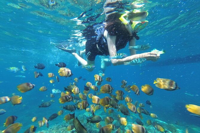West Nusa Penida With Snorkeling Private Guided Tour - Key points to know before booking