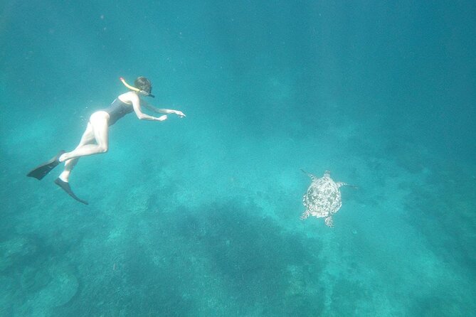 West Nusa Penida With Snorkeling Private Guided Tour - What the $86.67 price really covers