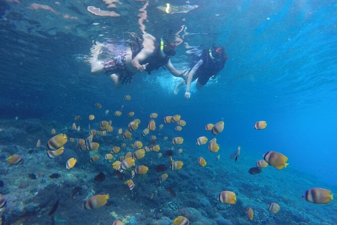 West Nusa Penida With Snorkeling Private Guided Tour - Manta Point: memorable when nature cooperates