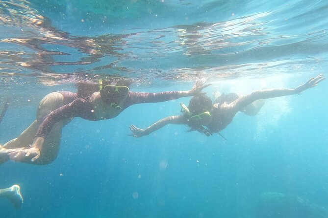 West Nusa Penida With Snorkeling Private Guided Tour - Crystal Bay: the turtle possibility