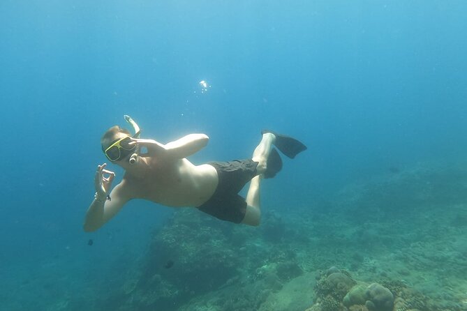 West Nusa Penida With Snorkeling Private Guided Tour - Kelingking Beach: the famous viewpoint