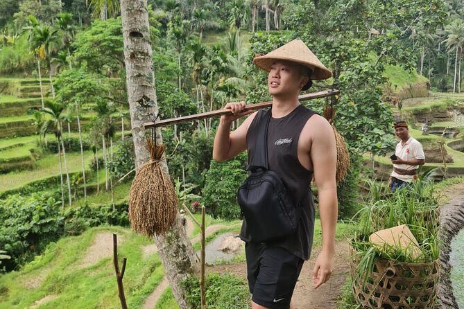 Wonderful 3 Days of Bali Private Guided Tour All Inclusive - How the $44 price measures up