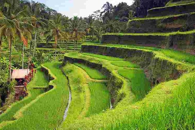 Wonderful Of Ubud Tours - Goa Gajah, the Elephant Cave Temple