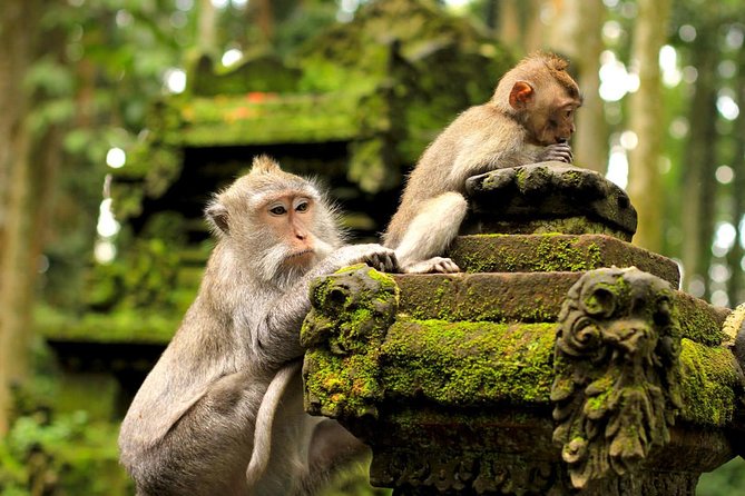 Wonderful Of Ubud Tours - Celuk Village and Balinese Silver