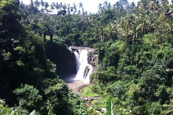 Wonderful Of Ubud Tours - Two Hours at Tegenungan Waterfall